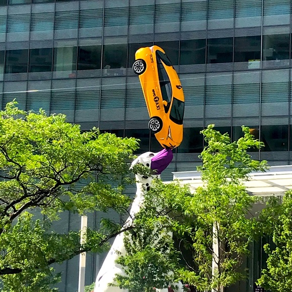 Meet your Posher, Damarys - Picture 1 of 1